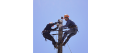 Lineman on Action